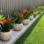 indoor and outdoor Plants installation