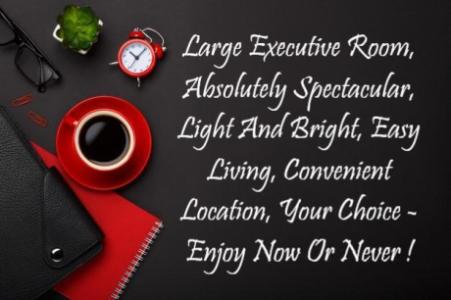 Large Executive Room, Absolutely Spectacular, Light And Bright, Easy Living, Convenient Location, Yo