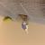 Pair of budgies with accessories