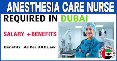 Anesthesia Care Nurse Required in Dubai