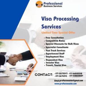 PROFESSIONAL VISA SERVICES WITHOUT THE HIGH COSTS
