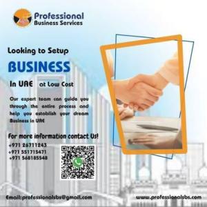 LOOKING TO SET UP A BUSINESS IN THE UAE AT A LOW COST? CONTACT US!