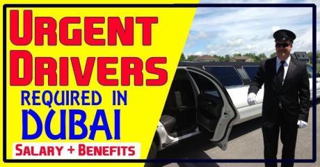 Urgent Drivers Required in Dubai