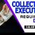 Collection Executive - Finance - UAE National Required in Duba
