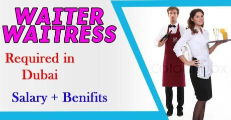 Waiter Or Waitress Required in Dubai