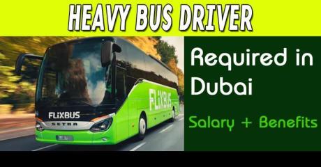 Heavy Bus Driver Required in Dubai