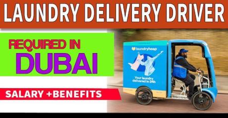 Laundry Delivery Driver Required in Dubai