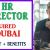 Human Resources Director Required in Dubai