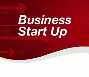 Startup business with 100% ownership