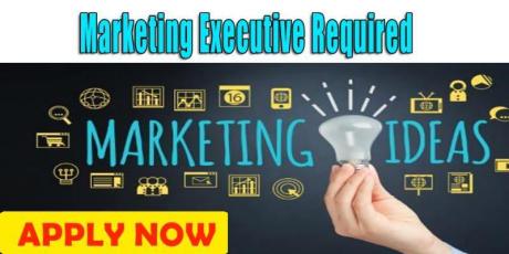 Marketing Executive Required