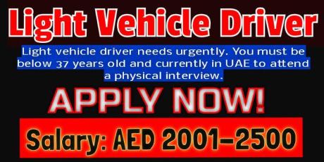 Light Vehicle Driver with Experience