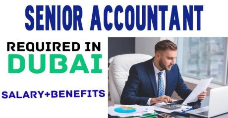 Senior Accountant (Immediate) Required in Dubai