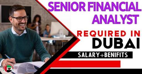 Senior Financial Analyst Required in Dubai