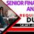 Senior Financial Analyst Required in Dubai