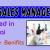 Sales Manager - Interior Design Required in Dubai