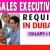 Sales Executive Required in Dubai -