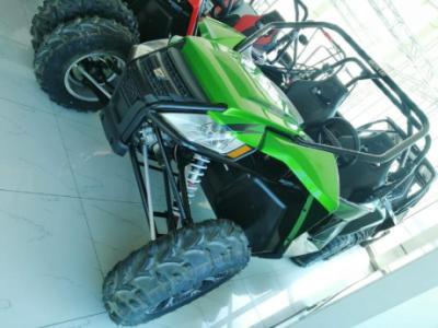 WILD CAT 1000 - GREEN - 2013