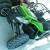 WILD CAT 1000 - GREEN - 2013