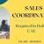 Sales Coordinator Required in Dubai