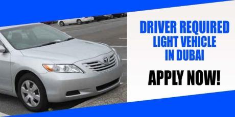 DRIVER REQUIRED LIGHT VEHICLE