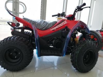 KYMCO MONGOOSE 90 - RED - 2021 QUAD FOR SALE IN DUBAI