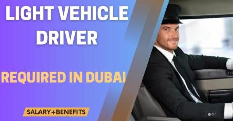 Light Vehicle Driver Required in Dubai