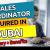 Sales Coordinator Required in Dubai