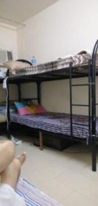 Independent Executive Room, Executive Single & double beds available for bachelors