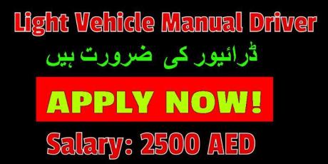 Light Vehicle Manual Driver Cum helper