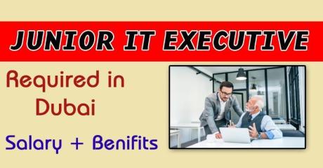Junior IT Executive Required in Dubai