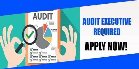 AUDIT EXECUTIVE REQUIRED IN DUBAI