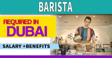 Barista Required in Dubai -