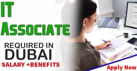 IT Associate (6 Months Fixed Term) Required in Dubai