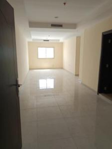 studio 1BHK 2BHK 3BHK available for rent ajman