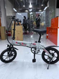 Rohan Wings Electric Bike