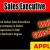 Sales Executive