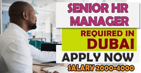 Senior Human Resources Manager Required in Dubai