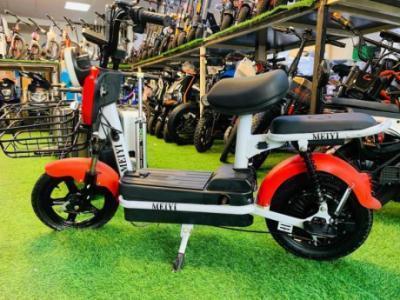 Delivery Electric Scooter