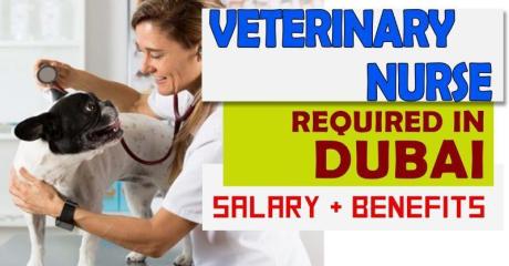 Veterinary Nurse Required in Dubai -