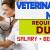 Veterinary Nurse Required in Dubai -