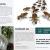 PEST CONTROL, SANITIZATION AND BUILDING CLEANING SERVICES