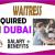 Waitress Required in Dubai