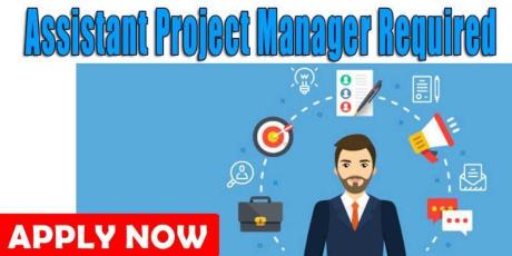 Assistant Project Manager Required