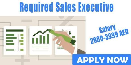 Required Sales Executive