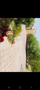 Fully Furnished Family Room Al Qusais 3