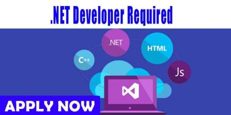 .NET Developer Required