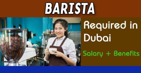 Barista Required in Dubai -