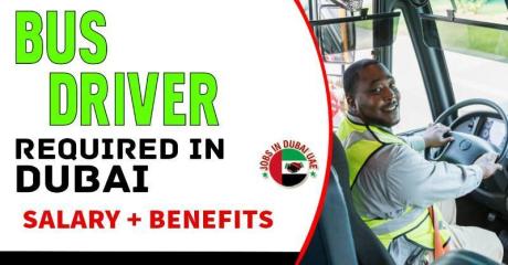 Bus Driver Required in Dubai