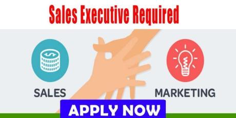 Sales Executive Required