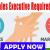 Sales Executive Required